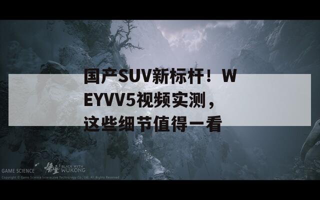 国产SUV新标杆！WEYVV5视频实测，这些细节值得一看
