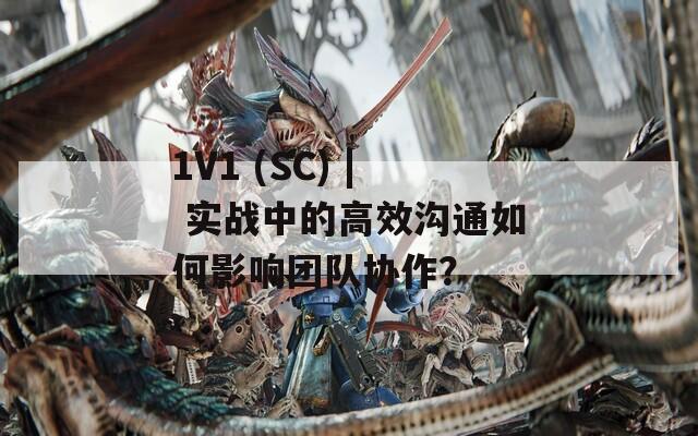 1V1 (SC) | 实战中的高效沟通如何影响团队协作？