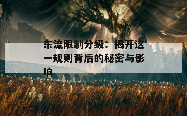 东流限制分级：揭开这一规则背后的秘密与影响