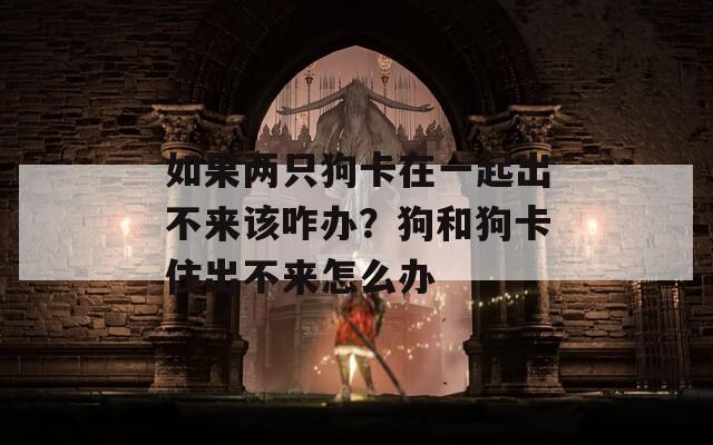 如果两只狗卡在一起出不来该咋办？狗和狗卡住出不来怎么办
