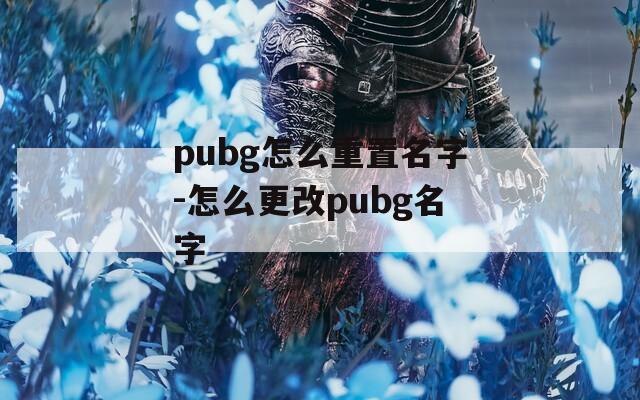 pubg怎么重置名字-怎么更改pubg名字  第1张
