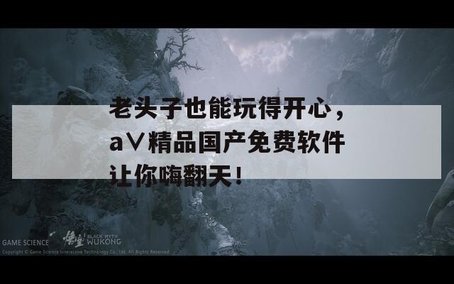 老头子也能玩得开心，a∨精品国产免费软件让你嗨翻天！  第1张