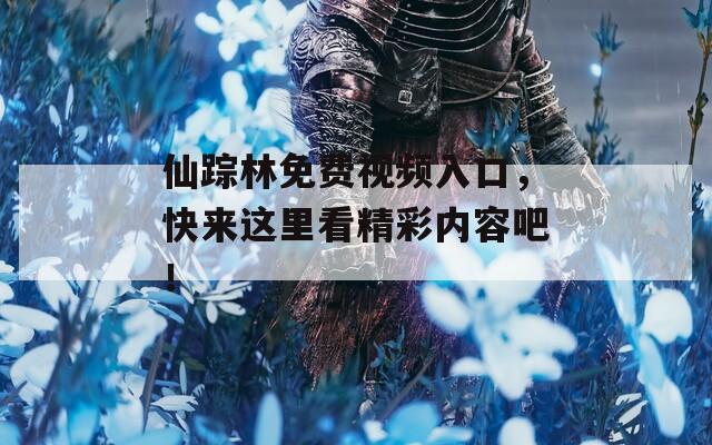 仙踪林免费视频入口，快来这里看精彩内容吧！