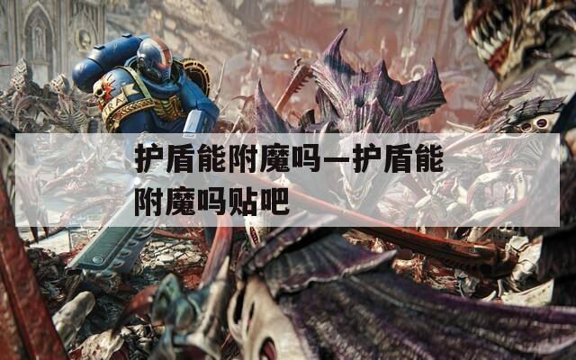 护盾能附魔吗—护盾能附魔吗贴吧